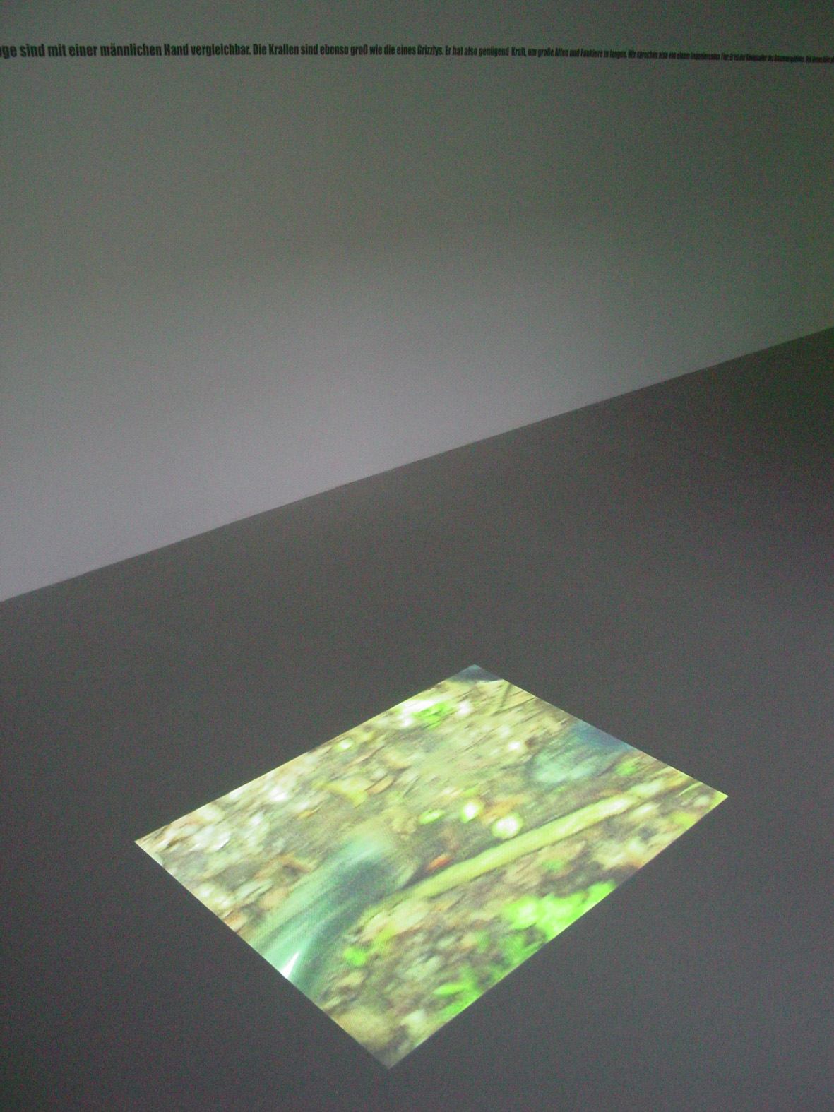Hover Image