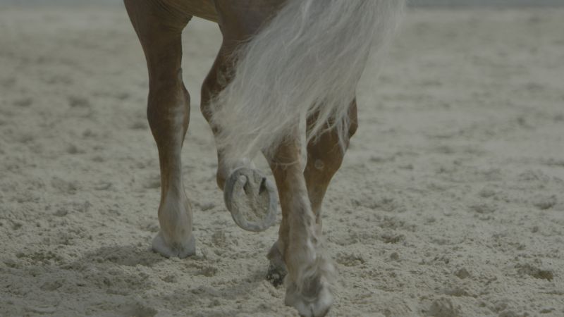 Lucy Beech, *Reproductive Exile* (still), 2018-2023
4K video, 30 min with stereo sound