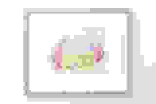 Photo: Franziska von den Driesch