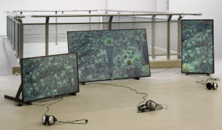 Water Warriors, Video und Sound Installation, 2019