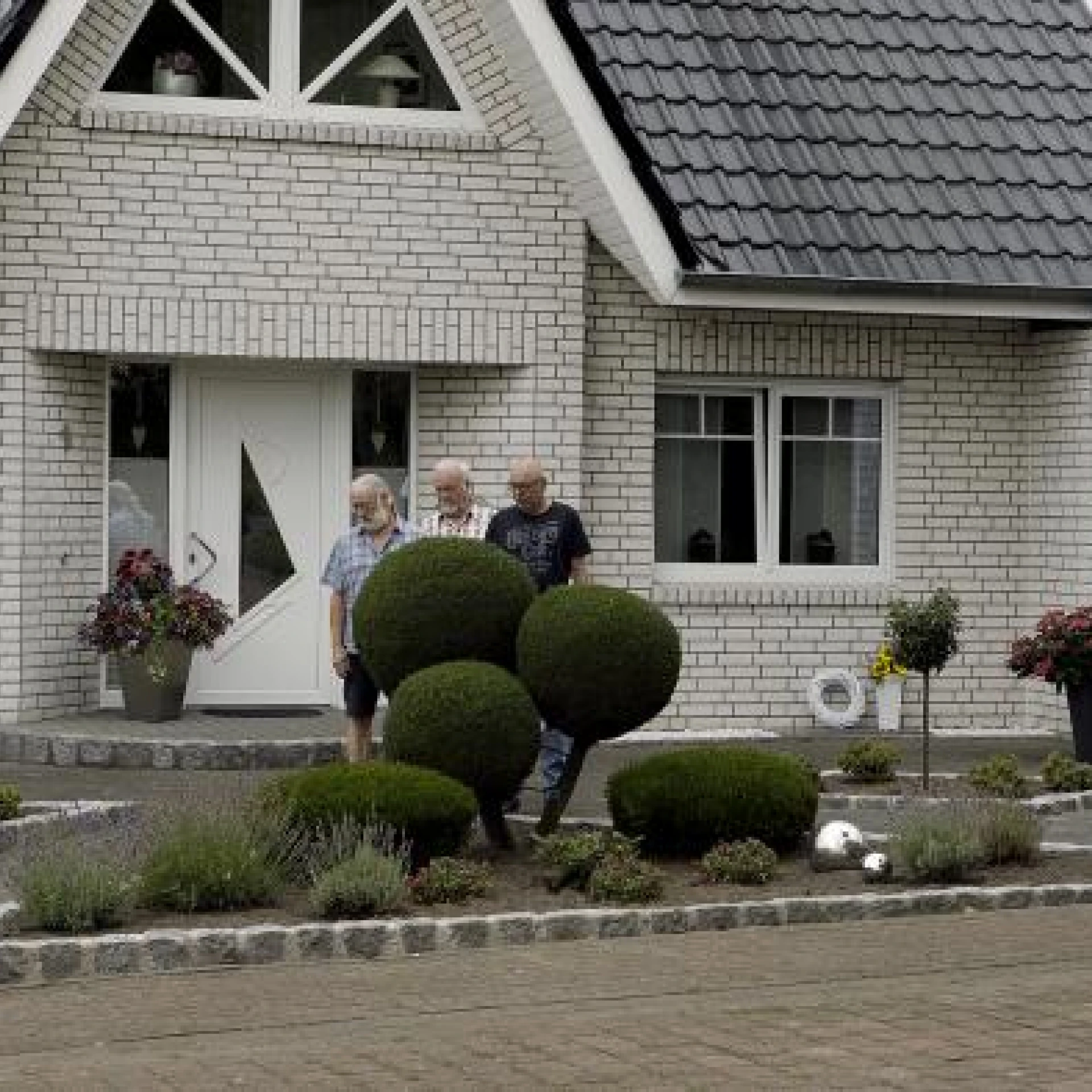 Dagmar Weiss: Buxus (2019), Videostill