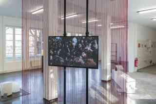 *Fliessender Übergang*, BBK Jahresausstellung, 2025, Foto: Ricardo Nunes