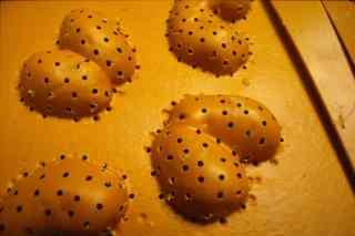 *Kartoffelformen*, 1999, 40 x 60 cm, deep-drawn plastic, potatoes, soil