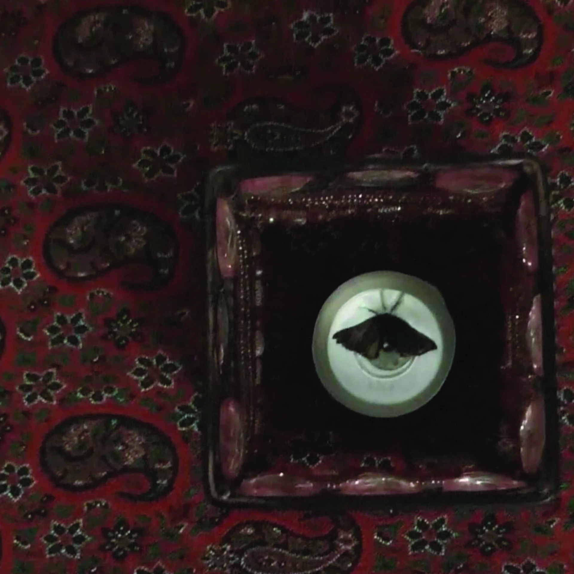 *Enthusiasmus*, 2014
Video, 01:52 min.