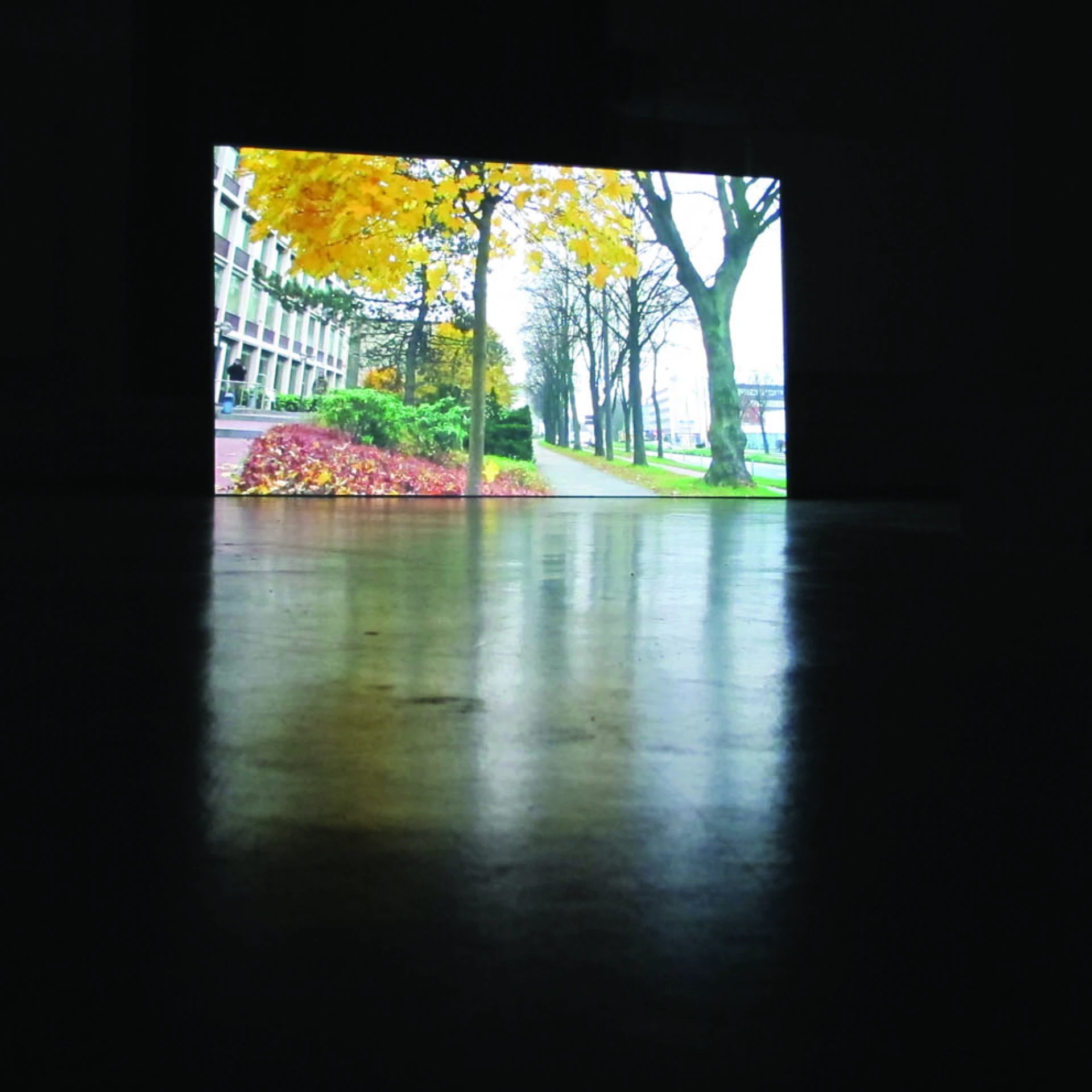 *Das Blatt*, 2012
Videoinstallation (Loop), 09:57min.