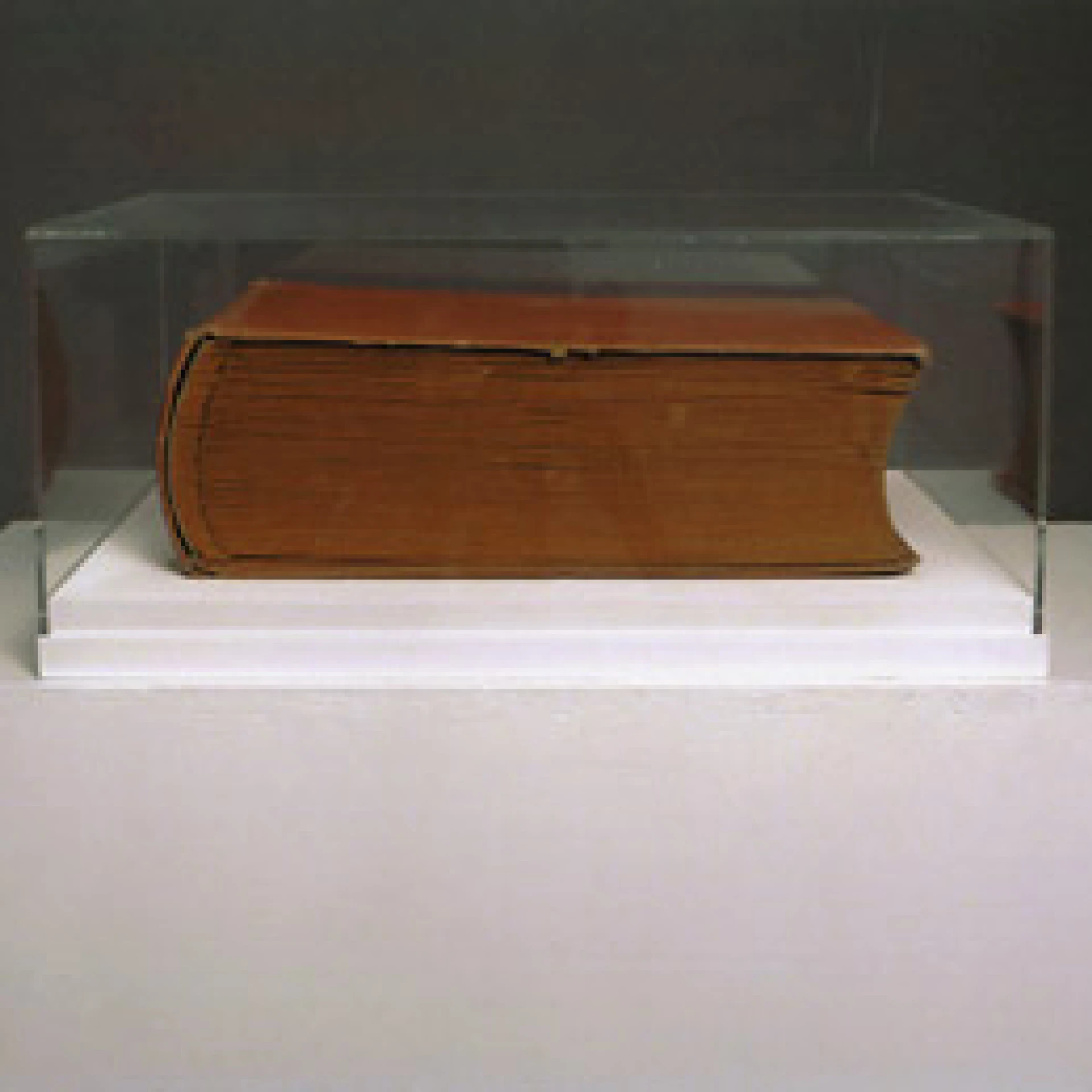 *Die Reise # 03*, 
Fotoinstallation, Ausstellungsansicht,
424 Fotos einer Reise aus dem Jahr 1904,
Passepartouts, Fotoalbum, Glaskasten