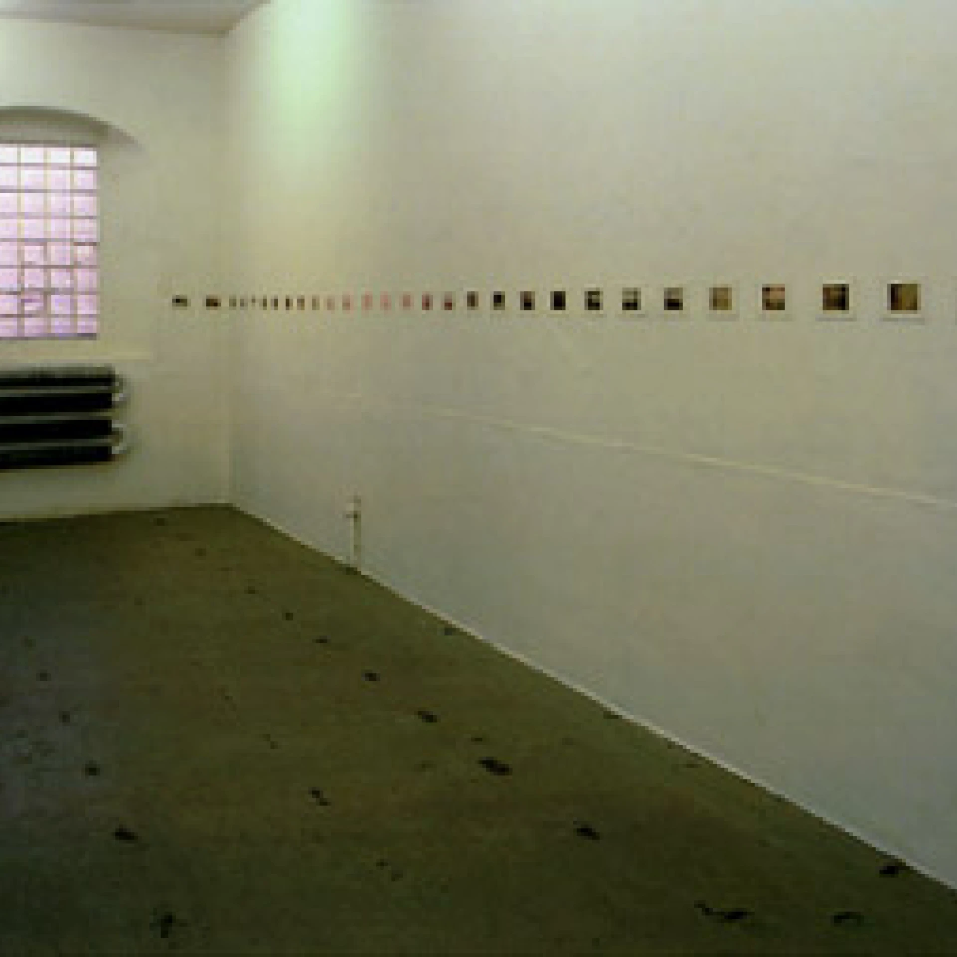 *Die Reise # 01*, 
Fotoinstallation, Ausstellungsansicht,
424 Fotos einer Reise aus dem Jahr 1904,
Passepartouts, Fotoalbum, Glaskasten
