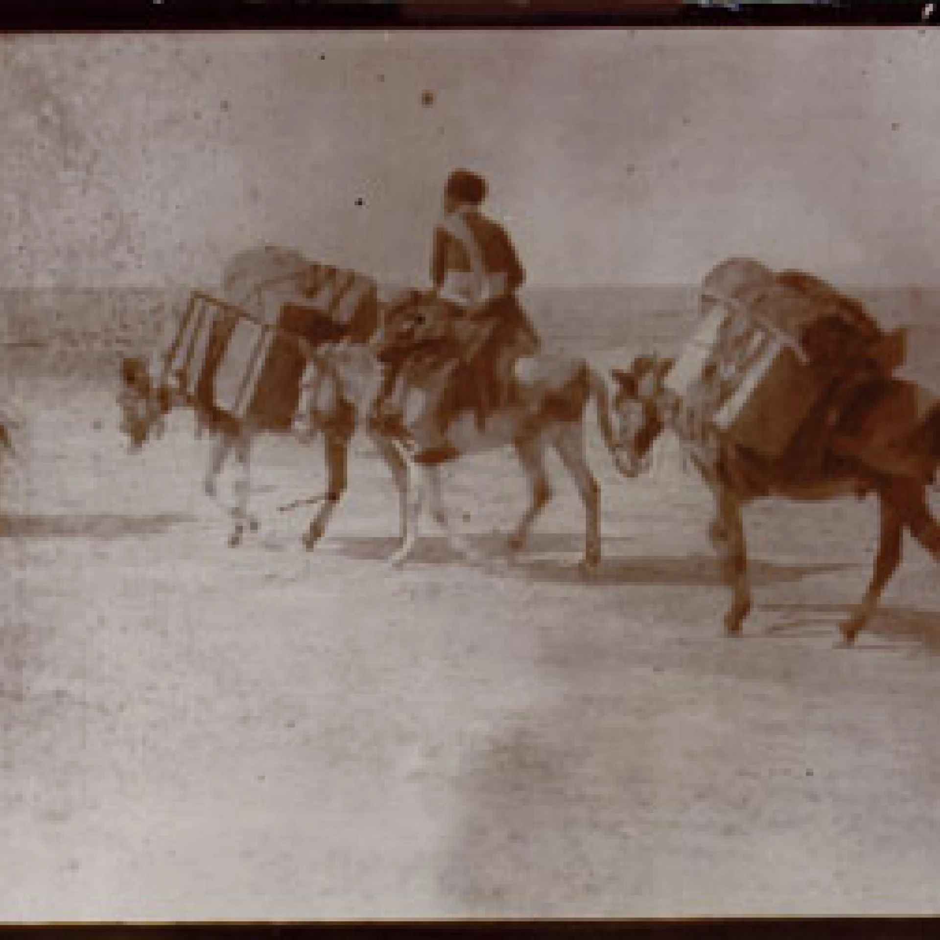 *Die Reise # 05*, 
Fotoinstallation, Ausstellungsansicht,
424 Fotos einer Reise aus dem Jahr 1904,
Passepartouts, Fotoalbum, Glaskasten