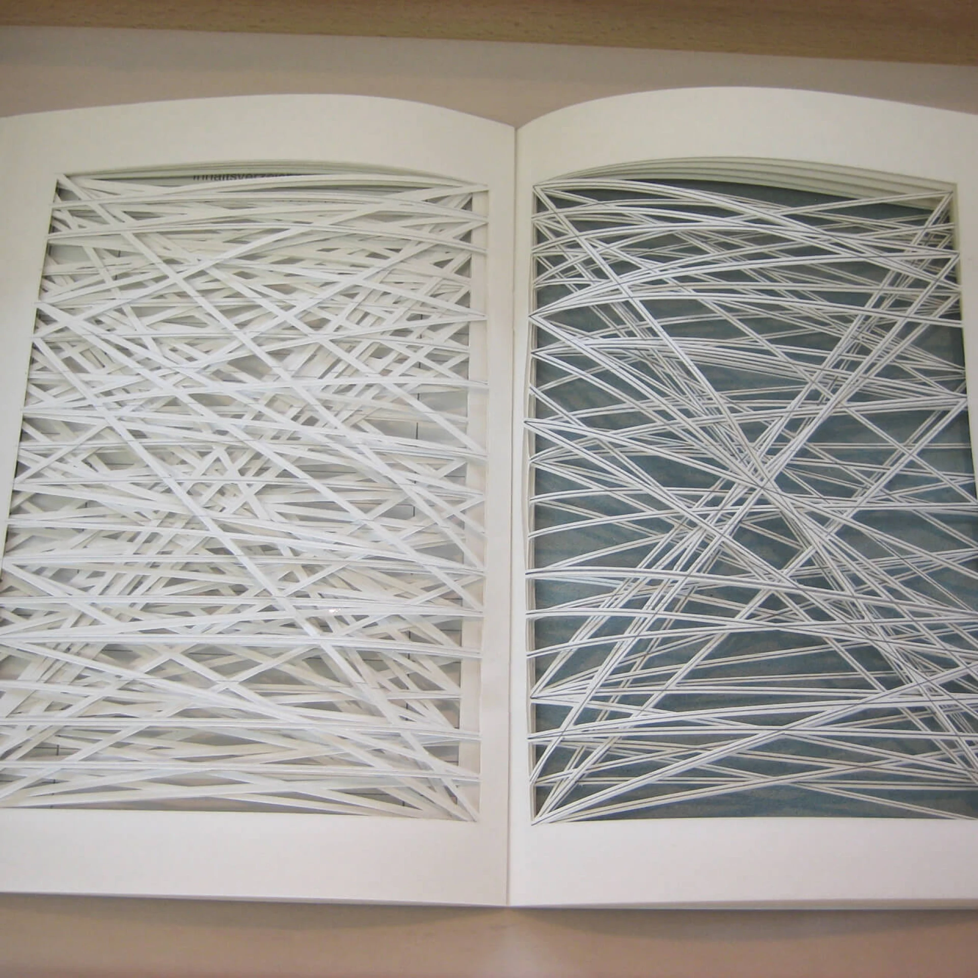 *Lineatur*, object, 2010