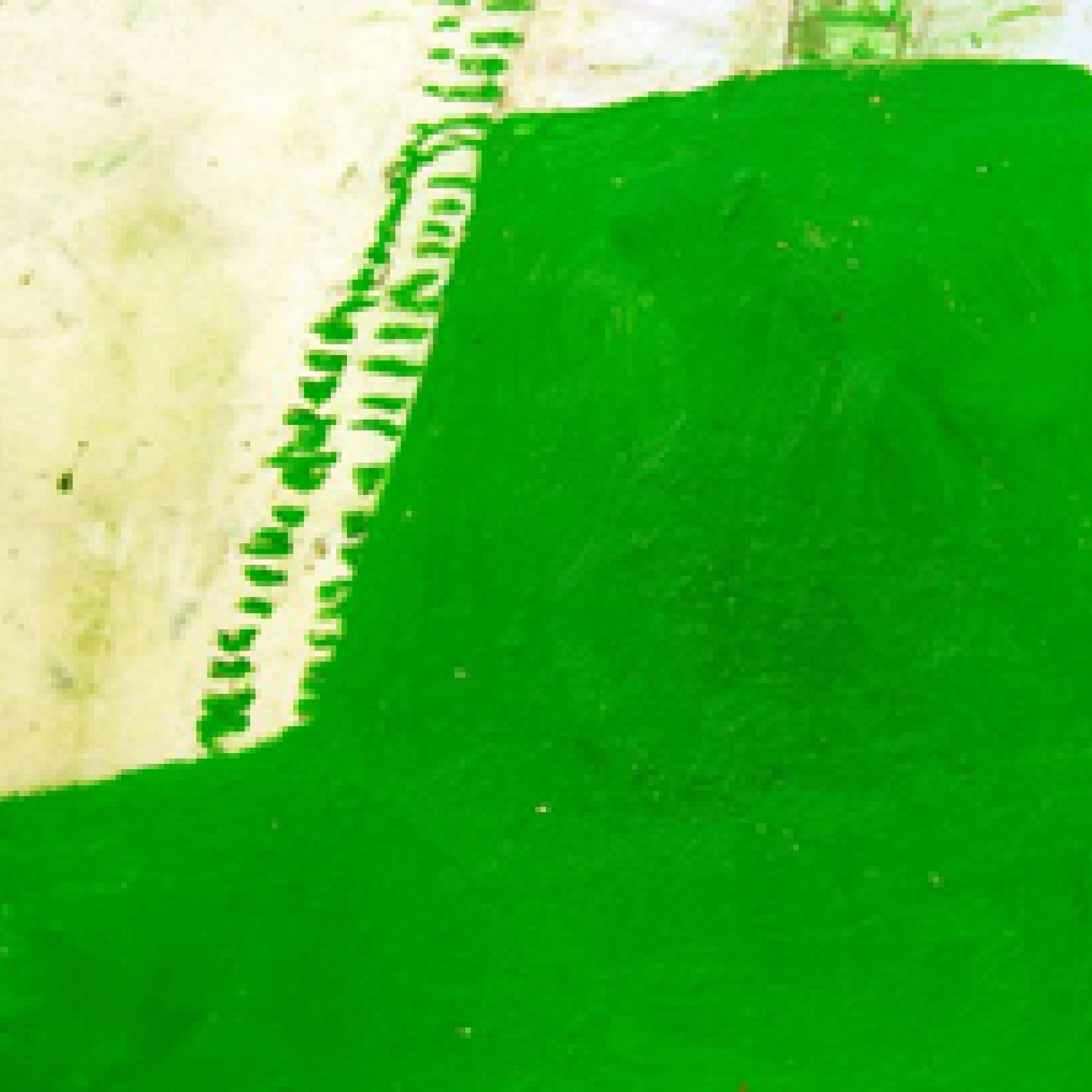 *o.T.*, 2006, oil paint, graphite and wax on paper, 29 x 50 cm