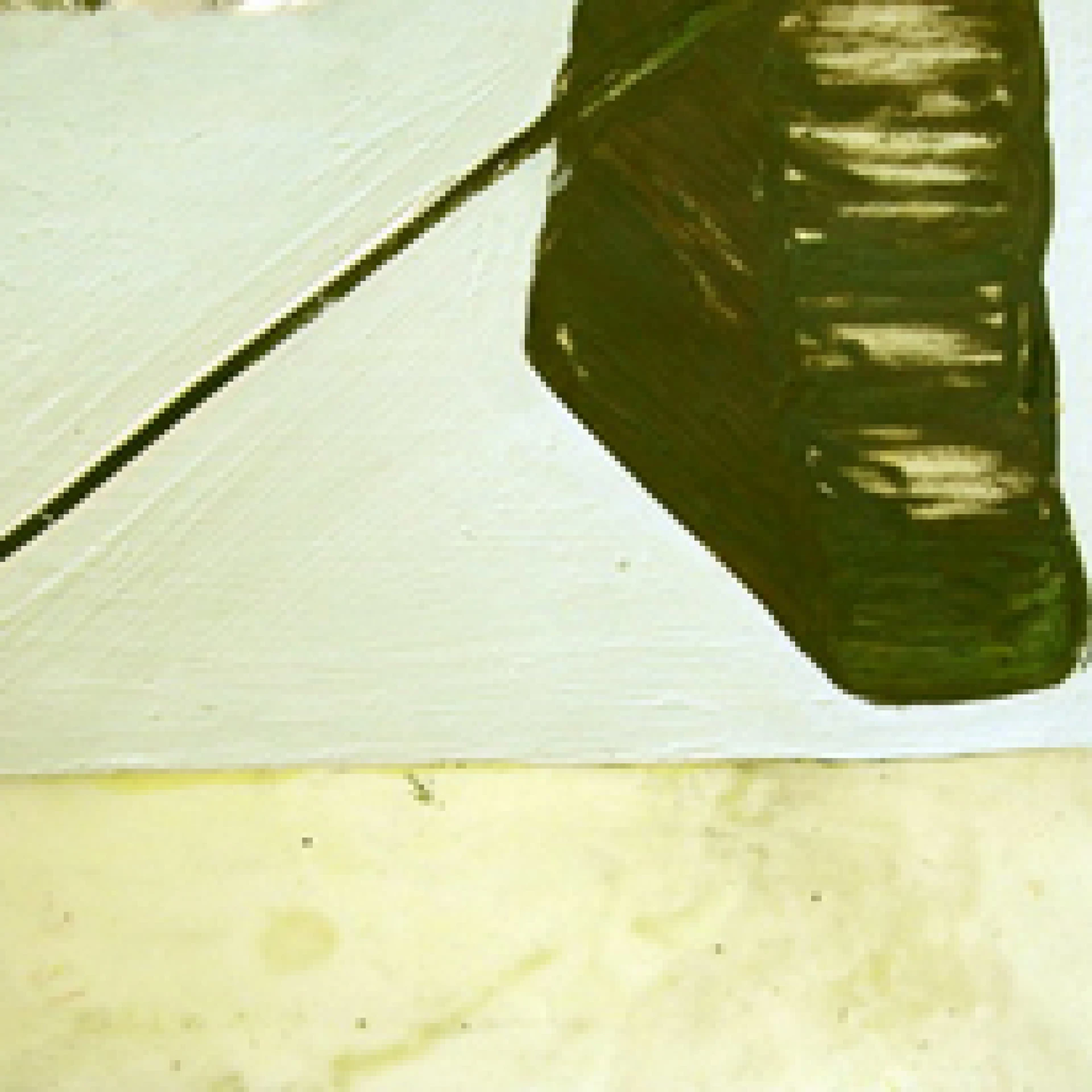 *o.T.*, 2006, oil paint, graphite and wax on paper, 29 x 50 cm