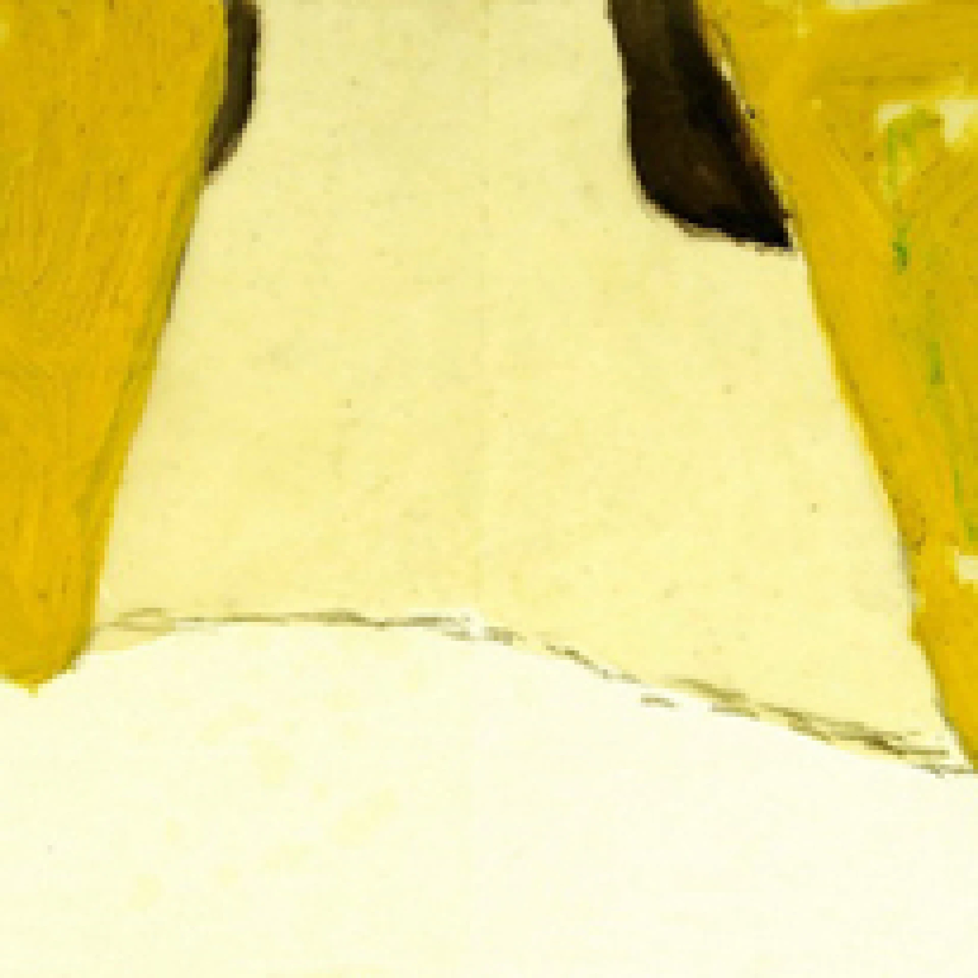 *o.T.*, 2005, oil paint, graphite and wax on paper, 24 x 43 cm