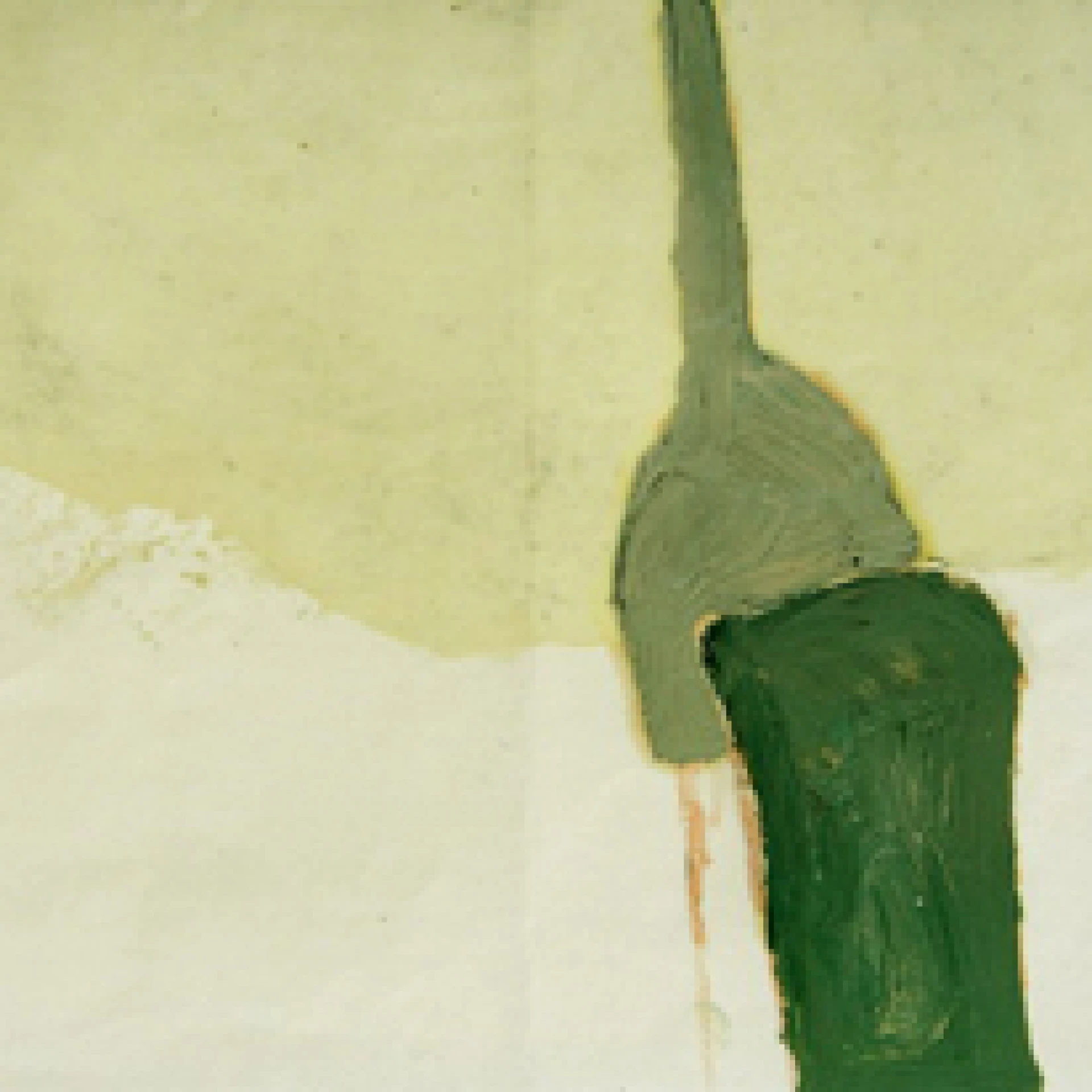 *o.T.*, 2005, oil paint, graphite and wax on paper, 24 x 43 cm