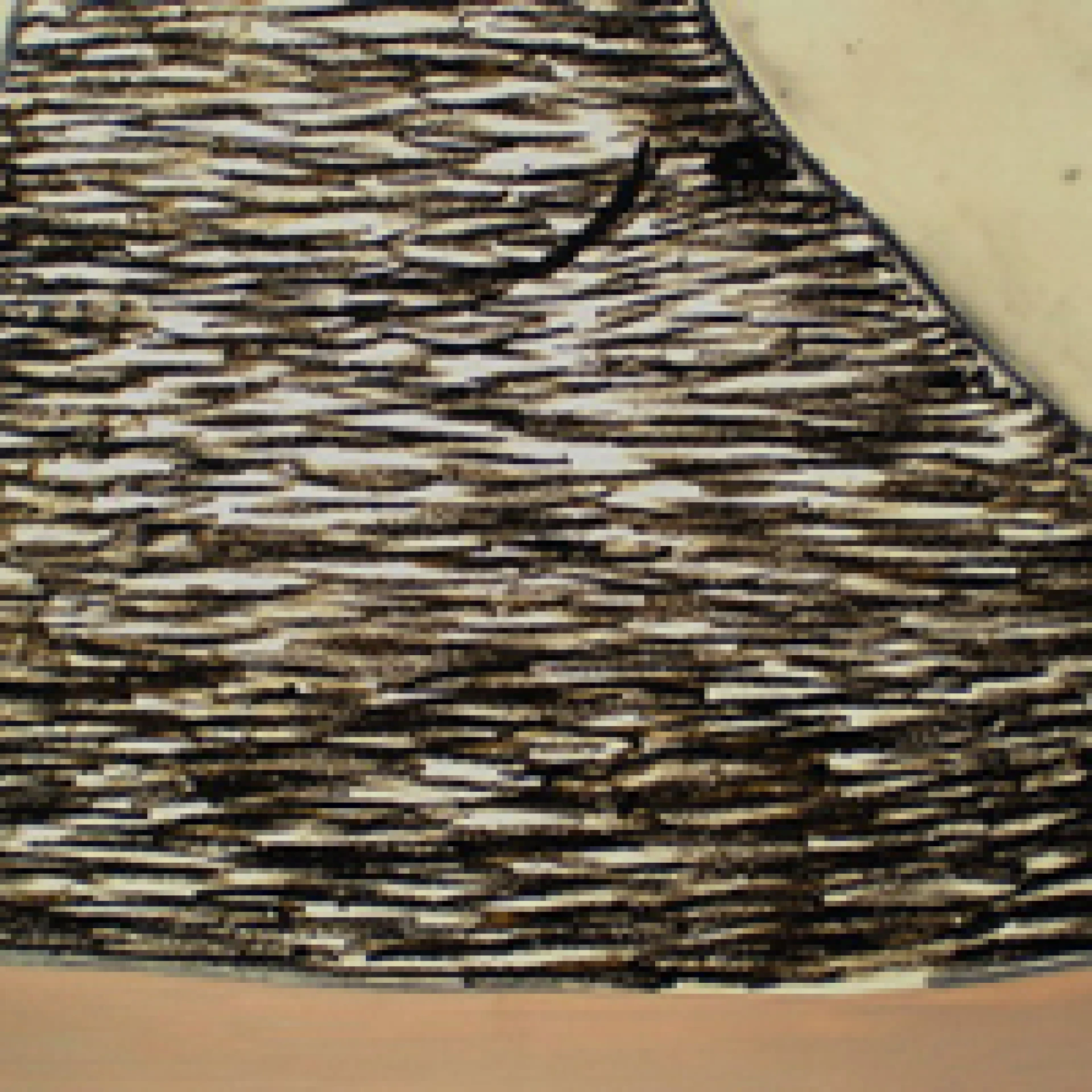 *o.T.*, 2008, oil paint, graphite and wax on paper, 42 x 70 cm