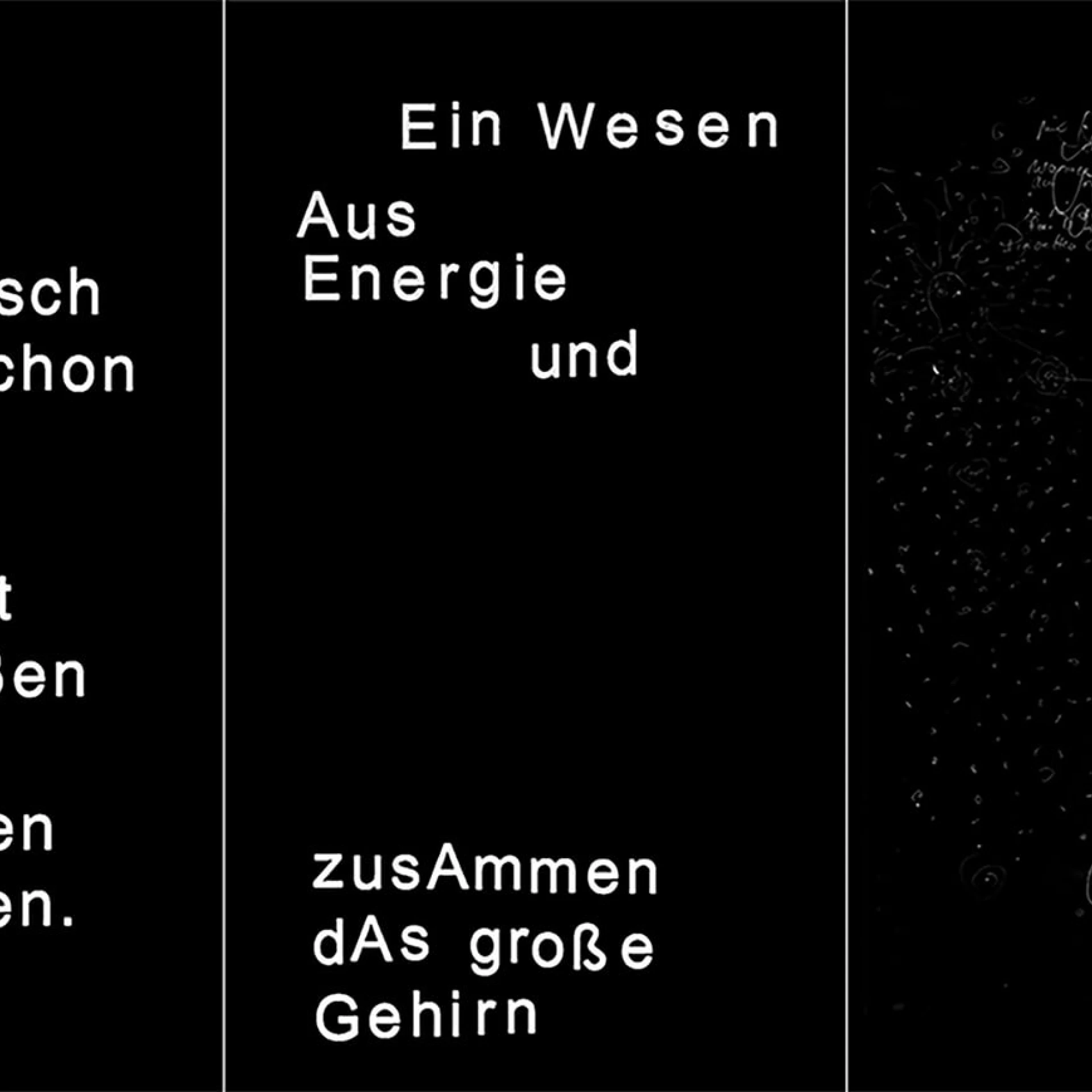 *Ich bin die Alte Hirsch *
Video installation, 5 min, film still, 2019