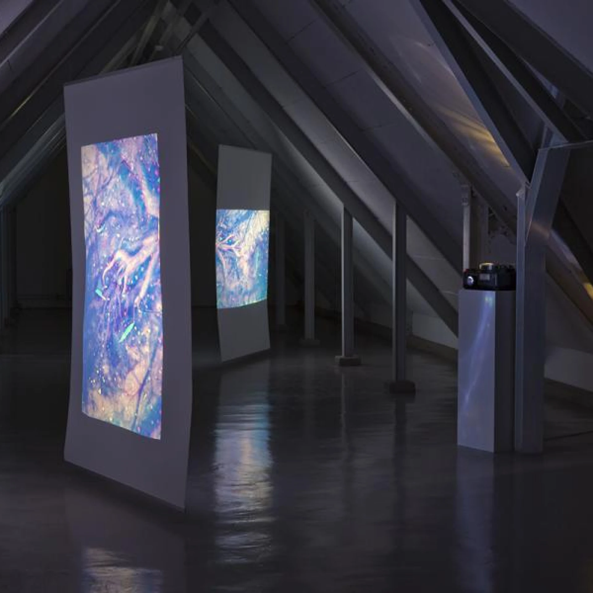 *serendipity*, 2019, 9 minütiger Loop, vier Diaprojektoren auf vier Leinwänden, 
je 2,2 x 1,5m, Ausstellungsansicht MeisterschülerInnen Ausstellung 2019, Weserburg - Museum für moderne Kunst, Bremen 2019