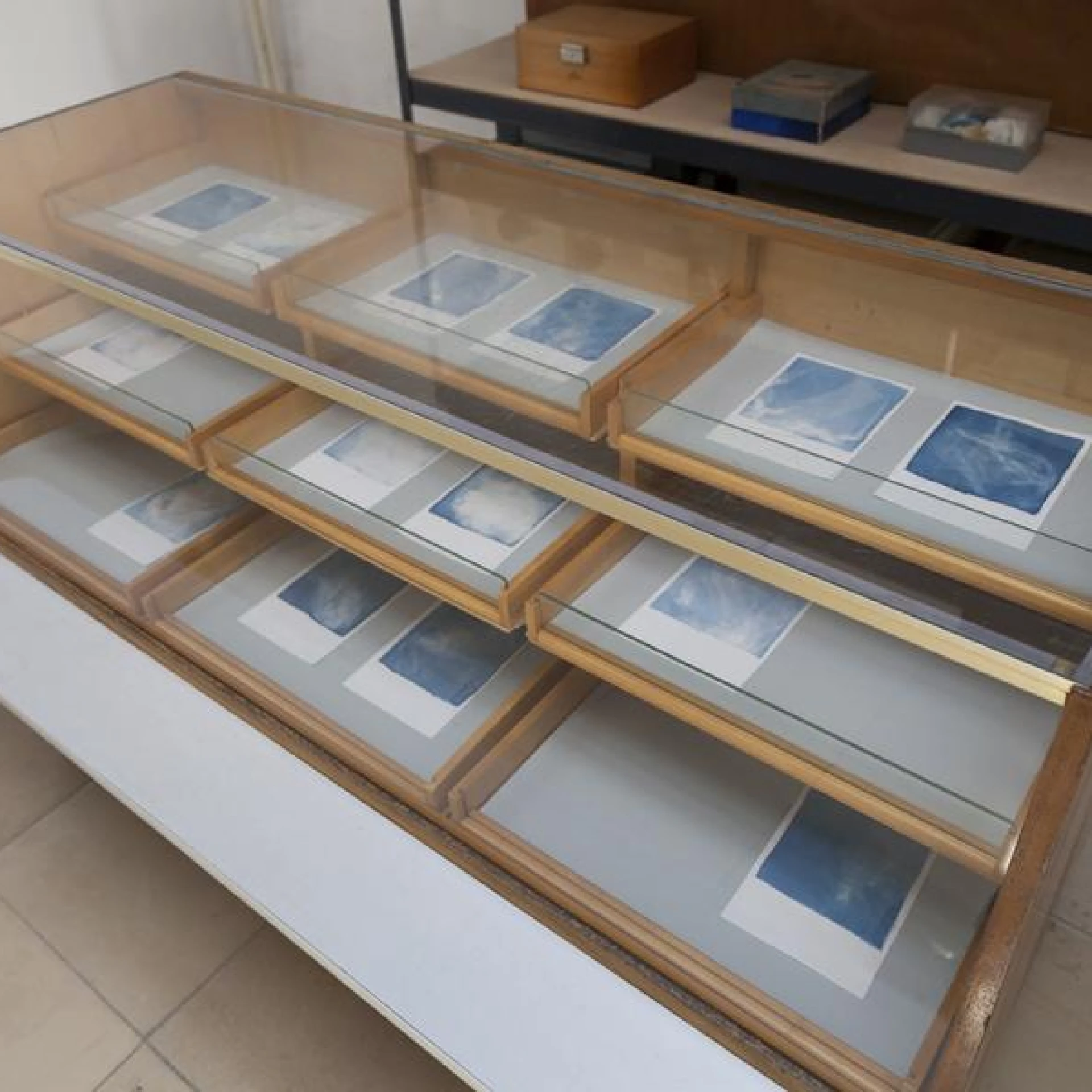 *floating*, 14-teilige Serie, 19,5 x 13,5 cm, Cyanotopie, Ausstellungsansicht Kind of Copy – Cyanotypie, Museum für Fotokopie, Mülheim an der Ruhr 2019