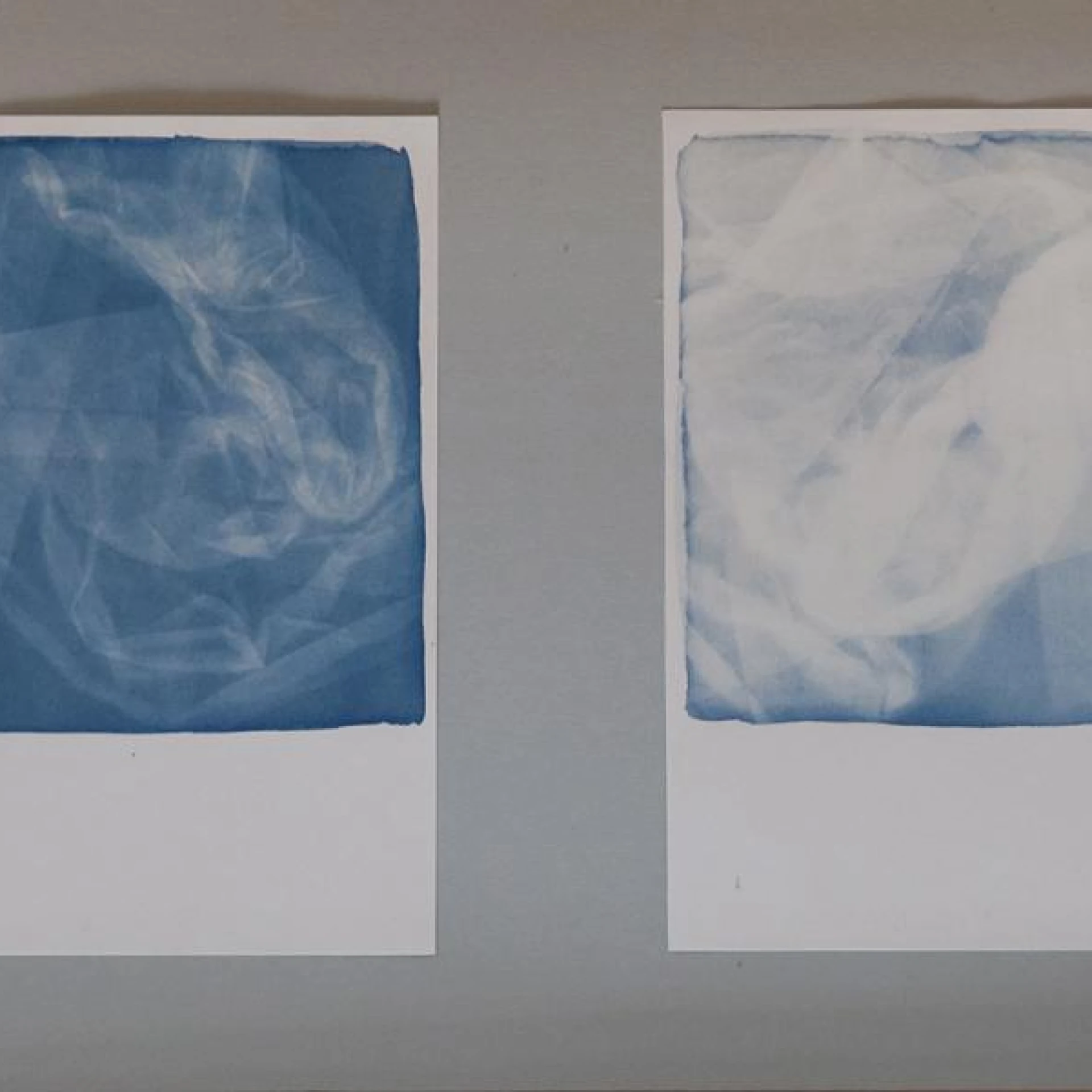 *floating*, 14-teilige Serie, 19,5 x 13,5 cm, Cyanotopie, Ausstellungsansicht Kind of Copy – Cyanotypie, Museum für Fotokopie, Mülheim an der Ruhr 2019