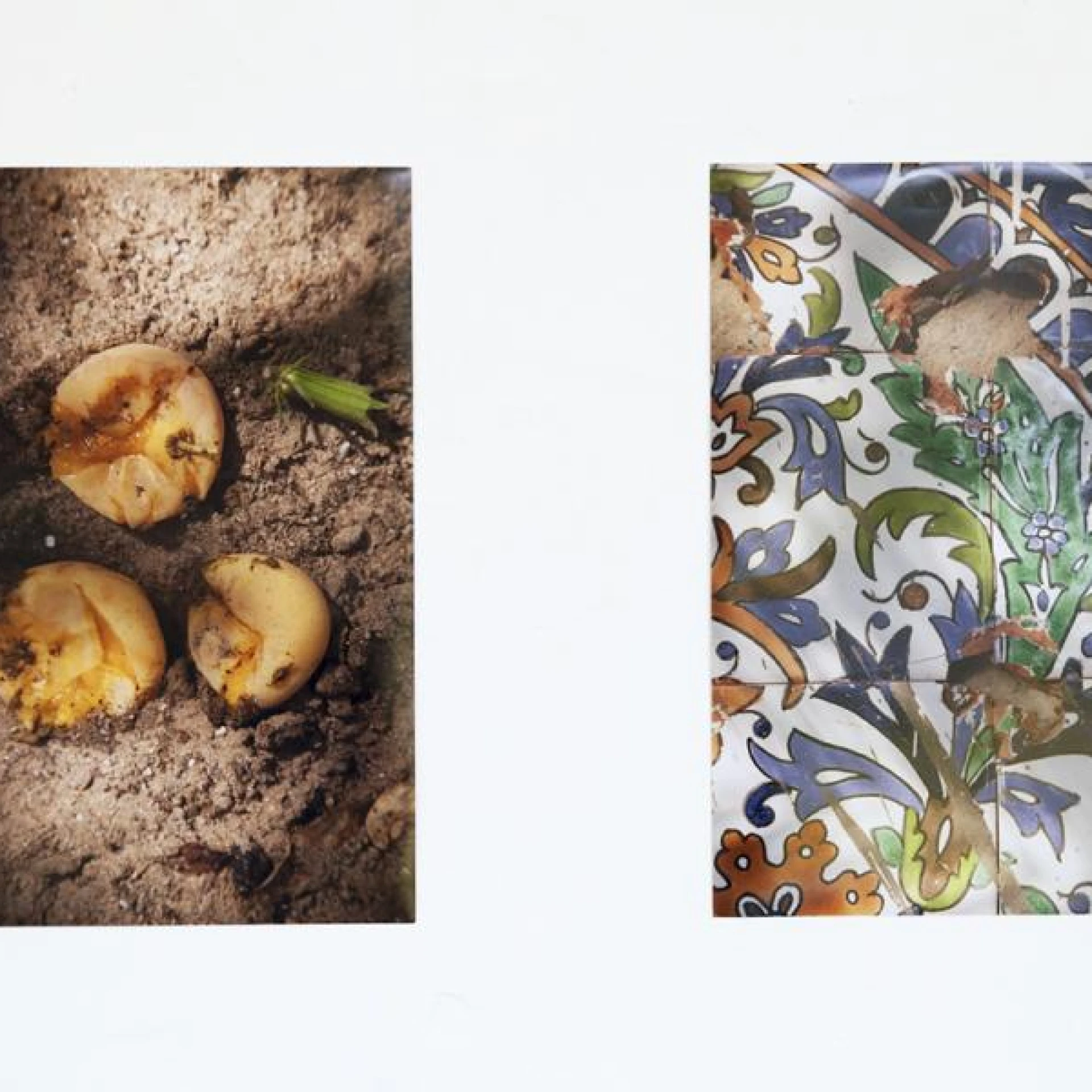 *Dialogic Research* , 2016
Objekte und Fotografien, je 30 x 20 cm, Ausstellungsansicht Dialogic Research, Dar Eyquem, Hammamet, Tunesien 2016